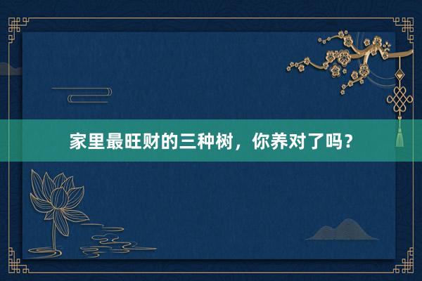 家里最旺财的三种树，你养对了吗？