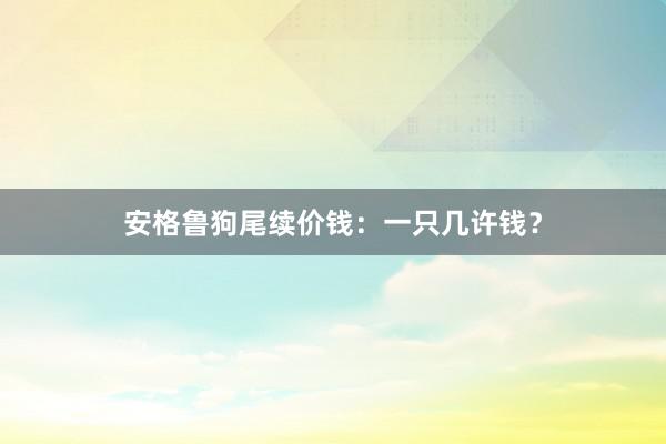 安格鲁狗尾续价钱：一只几许钱？