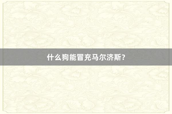 什么狗能冒充马尔济斯?
